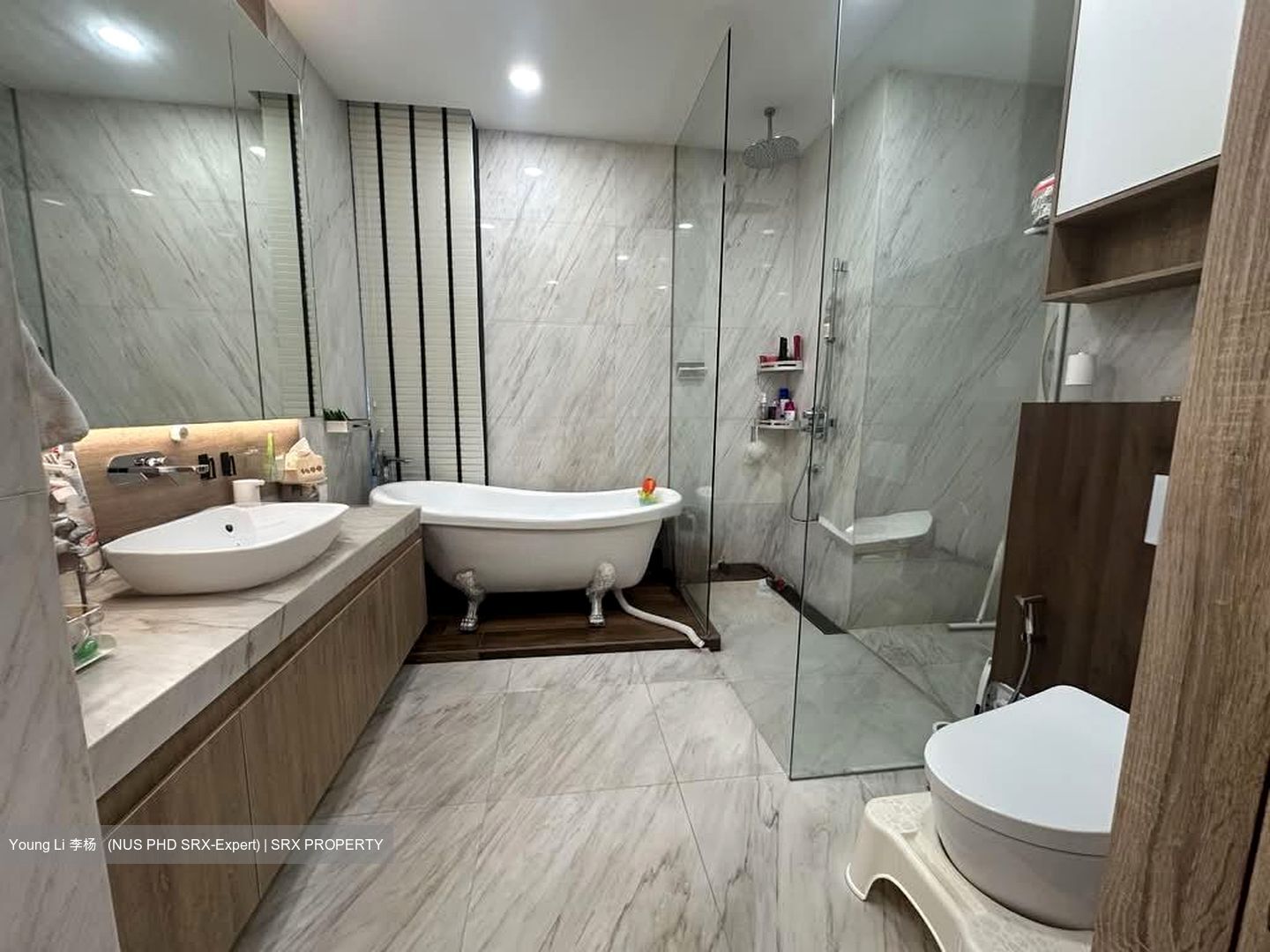Nouvel 18 (D10), Condominium #559690361